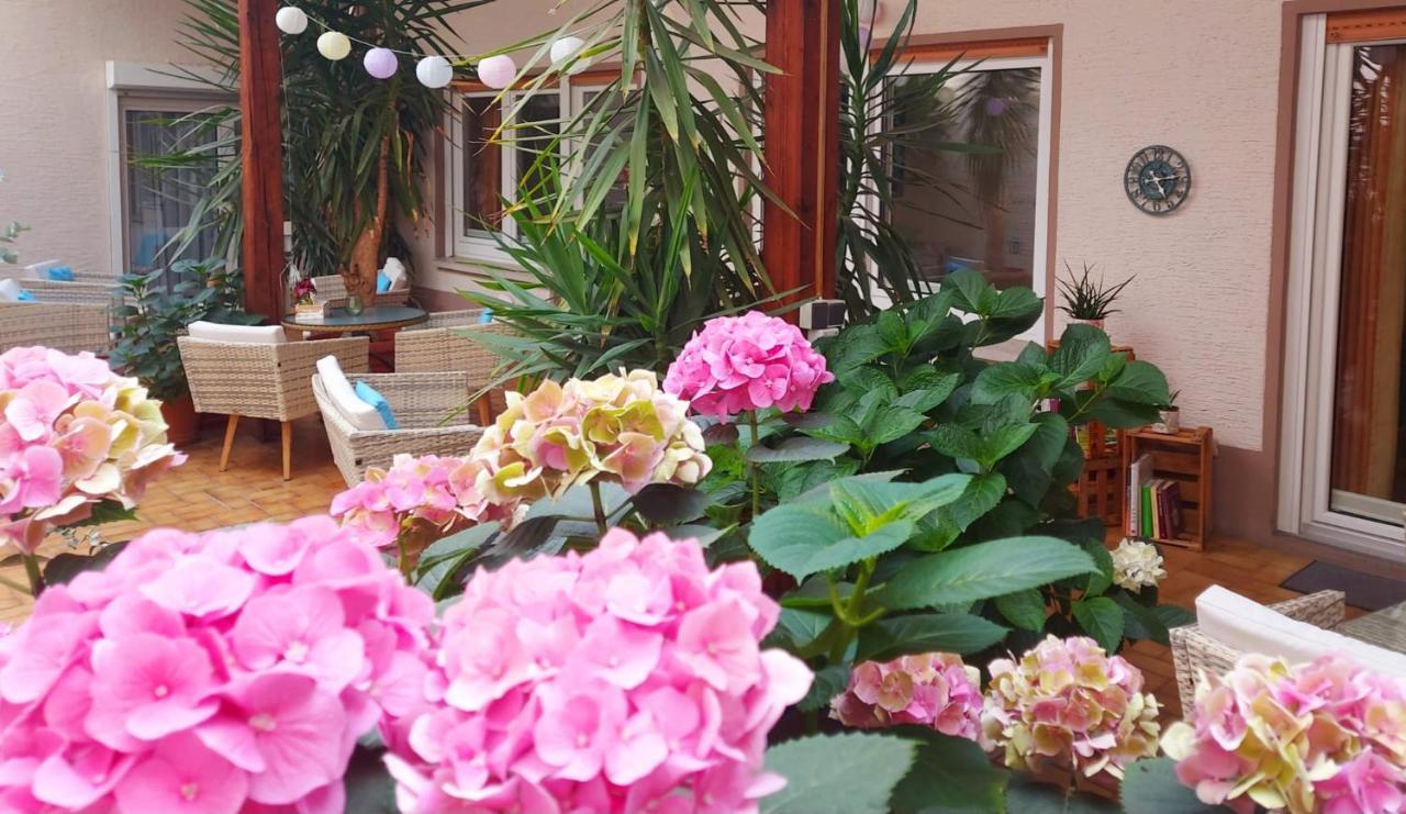 Gästehaus Röhm Ilbesheim bei Landau in der Pfalz Exterior foto